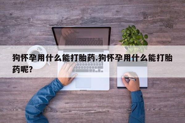 打胎药专卖微信米非司酮片联系方式狗怀孕用什么能打胎药.狗怀孕用什么能打胎药呢？