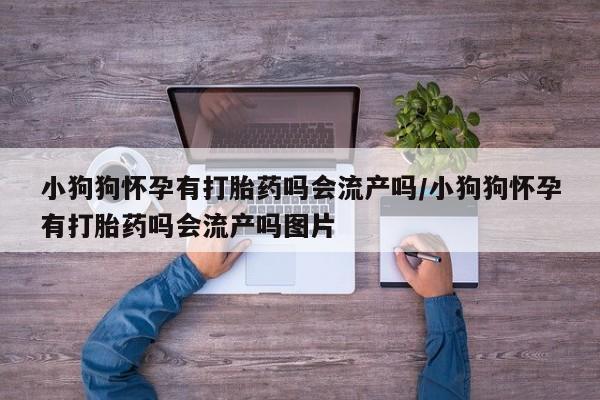 打胎药专卖微信米非司酮片联系方式小狗狗怀孕有打胎药吗会流产吗/小狗狗怀孕有打胎药吗会流产吗图片