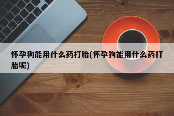 打胎药专卖微信米非司酮片联系方式怀孕狗能用什么药打胎(怀孕狗能用什么药打胎呢)