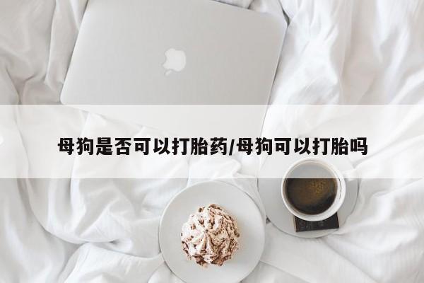 打胎药专卖微信米非司酮片联系方式母狗是否可以打胎药/母狗可以打胎吗